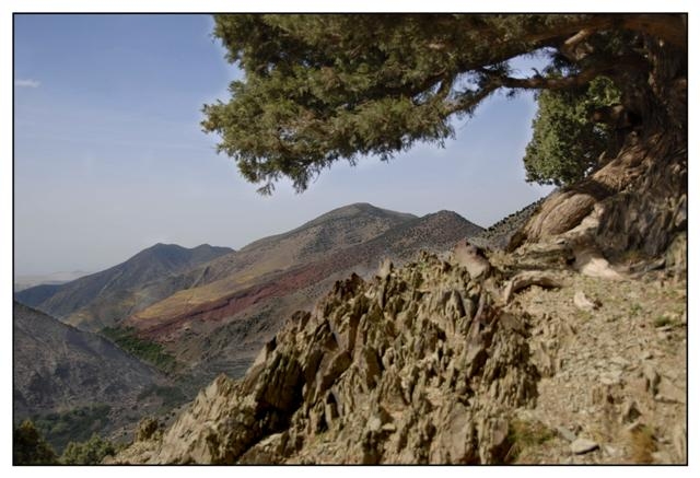 toubkal 187 (Small).jpg